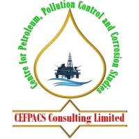 CEFPACS CONSULTING GROUP